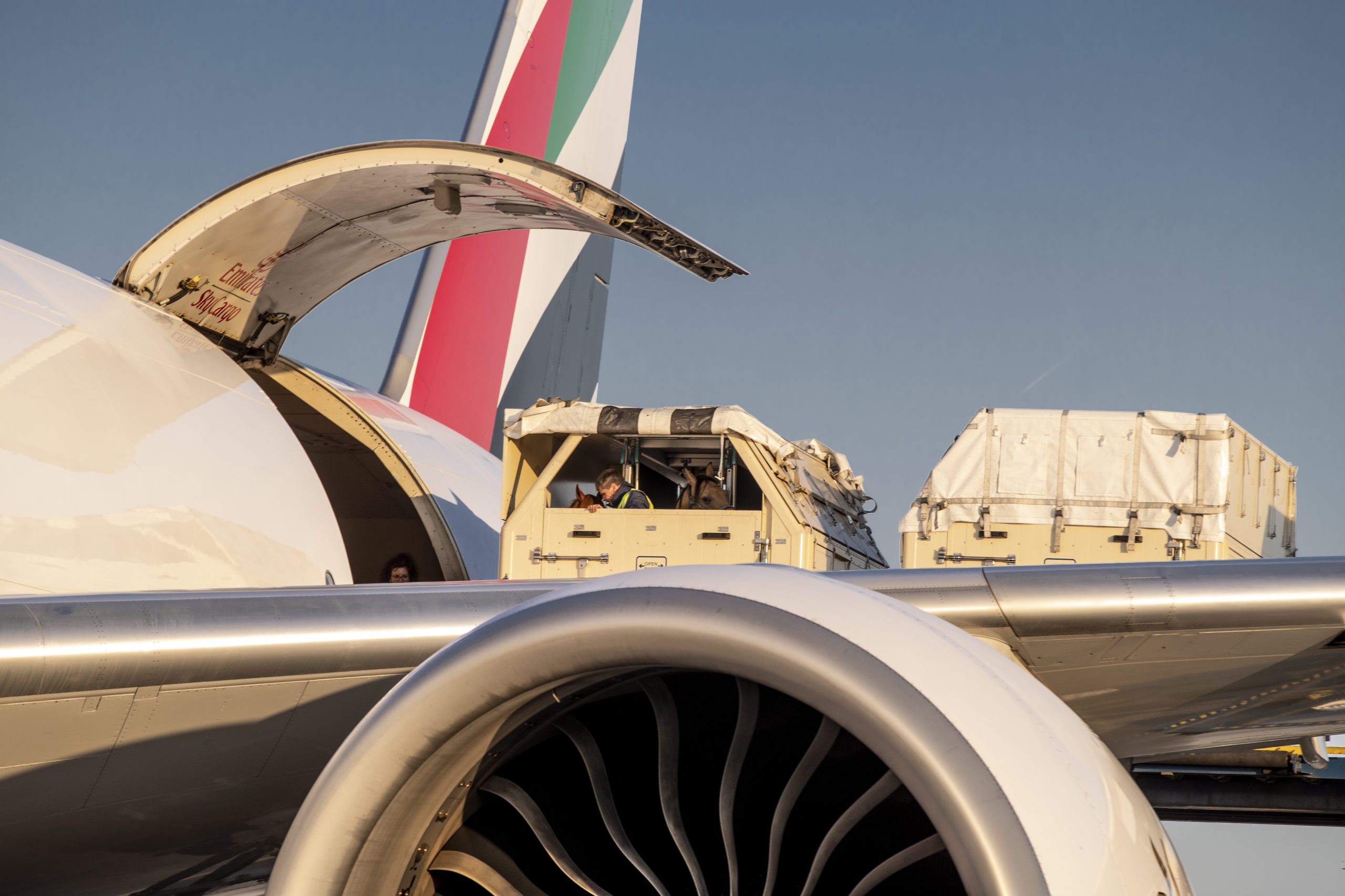 Emirates Boeing 777 freighter aircraft with horse stalls